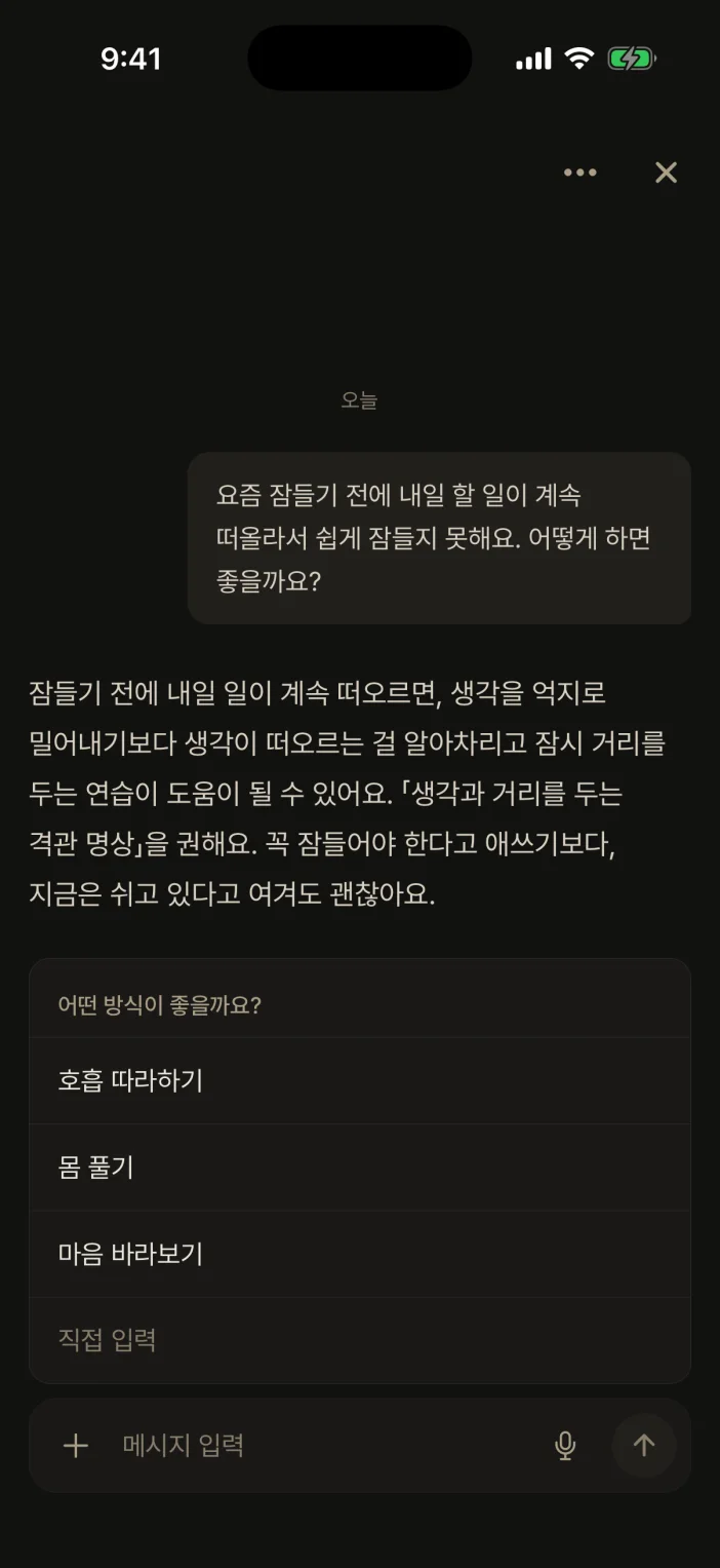 명상 앱 내면AI 화면 — 편안전환에 관한 대화